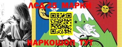 кокс Кингисепп