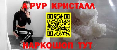 кокс Кингисепп