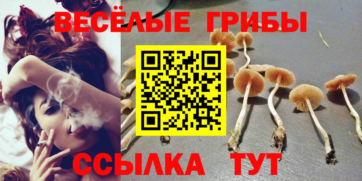 Каспийск  Псилоцибиновые грибы мицелий  Вход с VPN 
